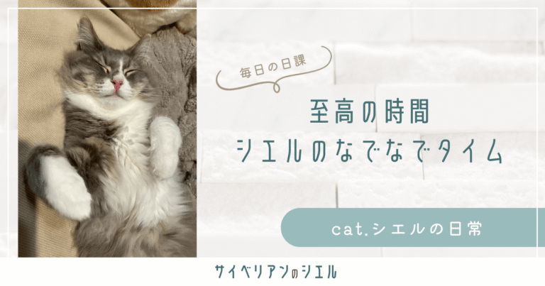 至高の時間、シエルのなでなでタイム