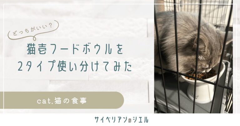 猫壱フードボウルは水平と斜めどっち？両方使った使い分け