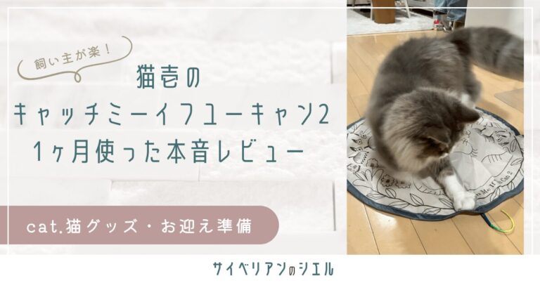 猫壱のキャッチミーイフユーキャン2は飽きる？1ヶ月使った本音レビュー