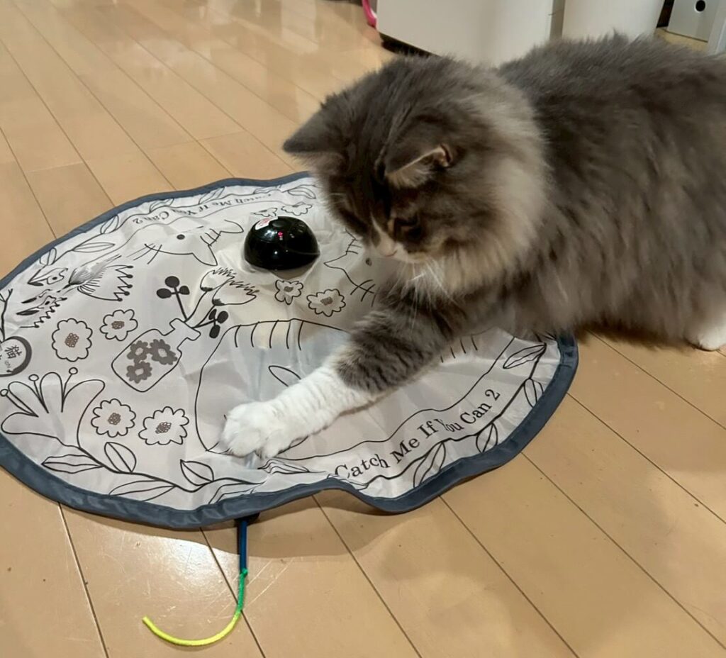 初級モードで頑張るシエル