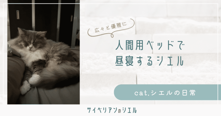 サイベリアンの昼寝場所はベッドの真ん中｜狭い所好きのはずが
